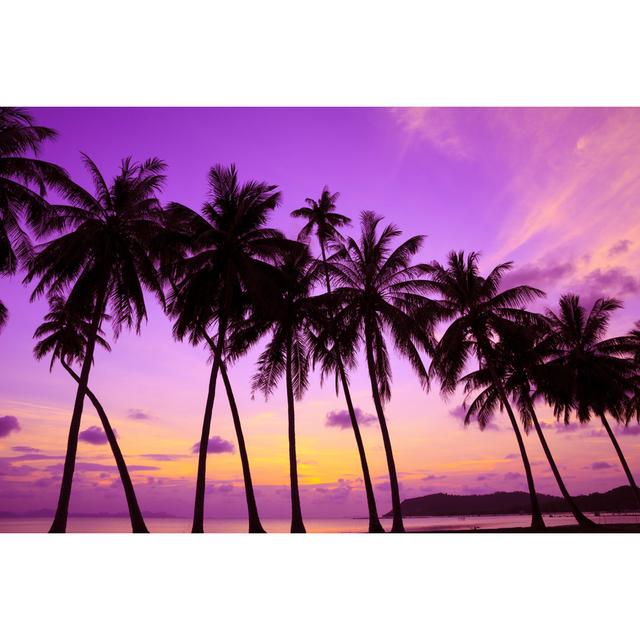 Tropical Sunset - Wrapped Canvas Photograph Bay Isle Home Size: 20cm H x 30cm W x 3.8cm D on Productcaster.