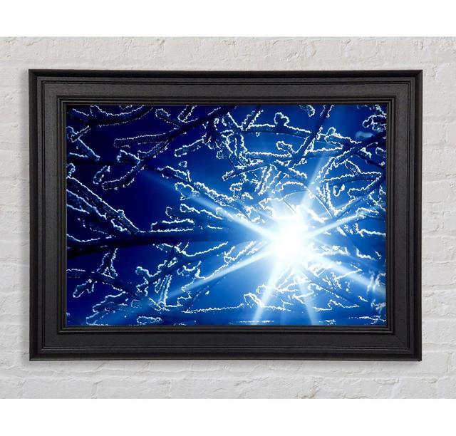 Winter Sun Rays - Single Picture Frame Art Prints Rosalind Wheeler Size: 100cm H x 141.4cm W x 8cm D on Productcaster.