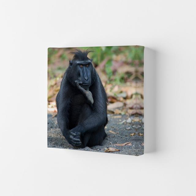 Thinker by Karsten Wrobel - Photograph on Canvas 17 Stories Size: 59.4cm H x 42cm W x 4cm D, Format: Wrapped Canvas on Productcaster.