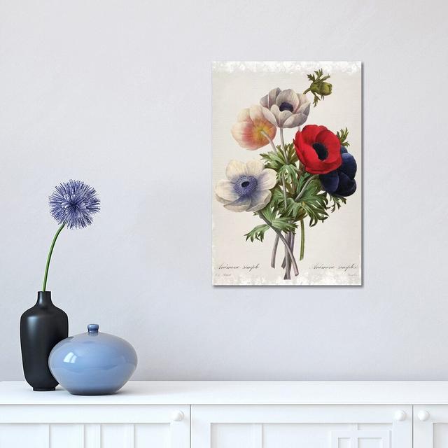 Botanical Bouquet Anemone by Carol Robinson - Graphic Art Print on Canvas August Grove Format: Wrapped Canvas, Size: 45.72cm H x 30.48cm W x 1.91cm D on Productcaster.