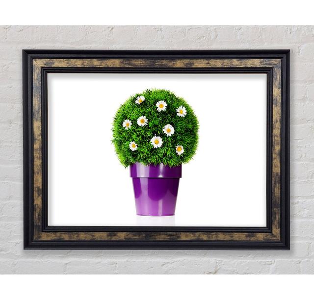 White Daisy Pot - Single Picture Frame Art Prints Bright Star Size: 59.7cm H x 84.1cm W x 8cm D on Productcaster.