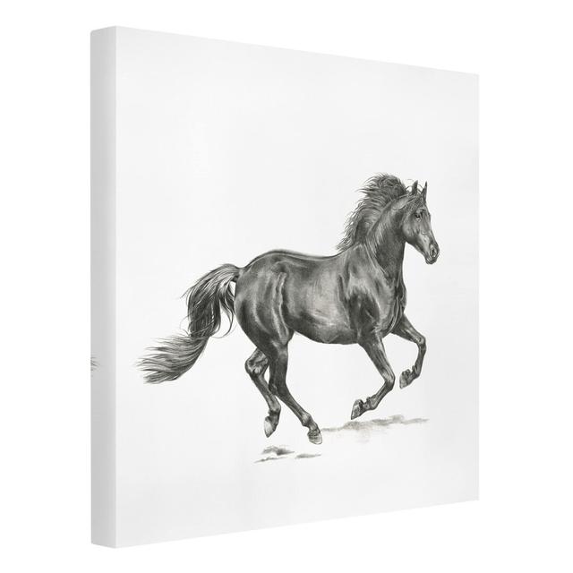 Stallion Wild Horse Study - Wrapped Canvas Painting Rosalind Wheeler on Productcaster.