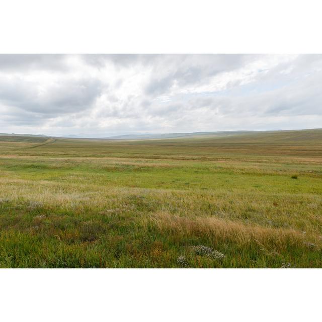 Mongolian Steppe - Wrapped Canvas Print August Grove Size: 30cm H x 46cm W x 3.8cm D on Productcaster.