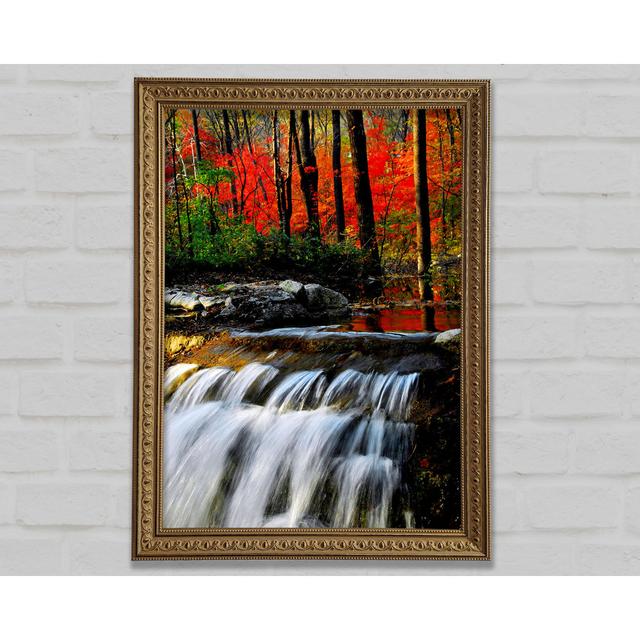 Autumn Waterfall Forest - Single Picture Frame Art Prints Union Rustic Size: 29.7cm H x 21cm W on Productcaster.