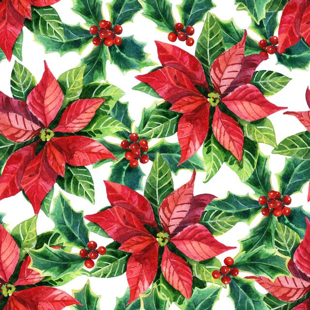 Christmas Poinsettia, Watercolor Flower by Tanya Syrytsyna - Wrapped Canvas Print ClassicLiving Size: 76cm H x 76cm W on Productcaster.