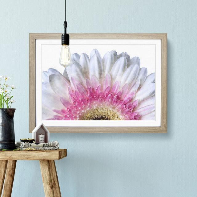 Petals of a Pink and White Gerbera - Picture Frame Graphic Art Print East Urban Home Format: Oak, Size: 24cm H x 33cm W x 2cm D on Productcaster.