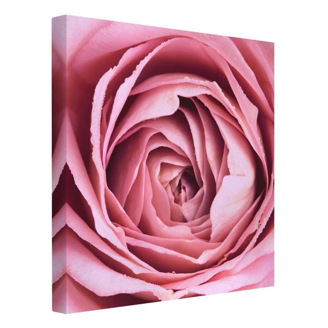 Pink Rose Petal - Wrapped Canvas Graphic Art Canora Grey Format: 260g/m² canvas, Size: 70cm H x 70cm W on Productcaster.