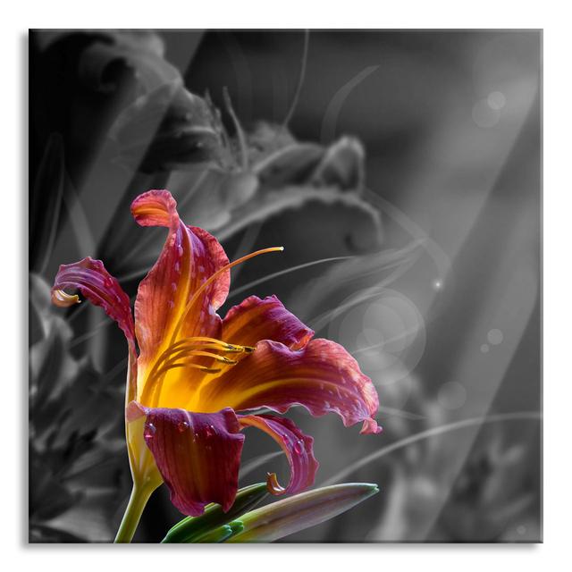 Breathtaking Lily - No Frame Print on Glass Brayden Studio Size: 80cm H x 80cm W x 0.4cm D on Productcaster.