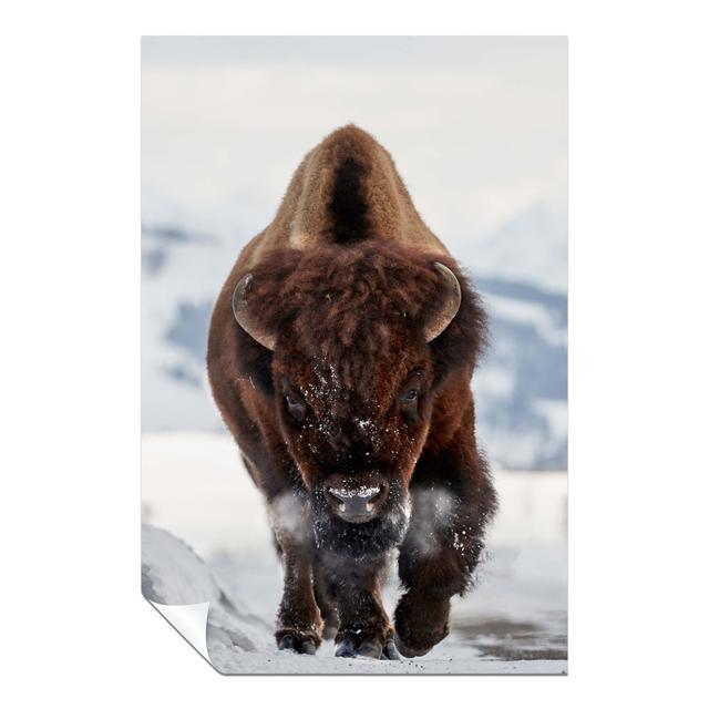 Running Brown Bison In Wildlife - No Frame Print Panther Print Size: 61cm H x 41cm W on Productcaster.