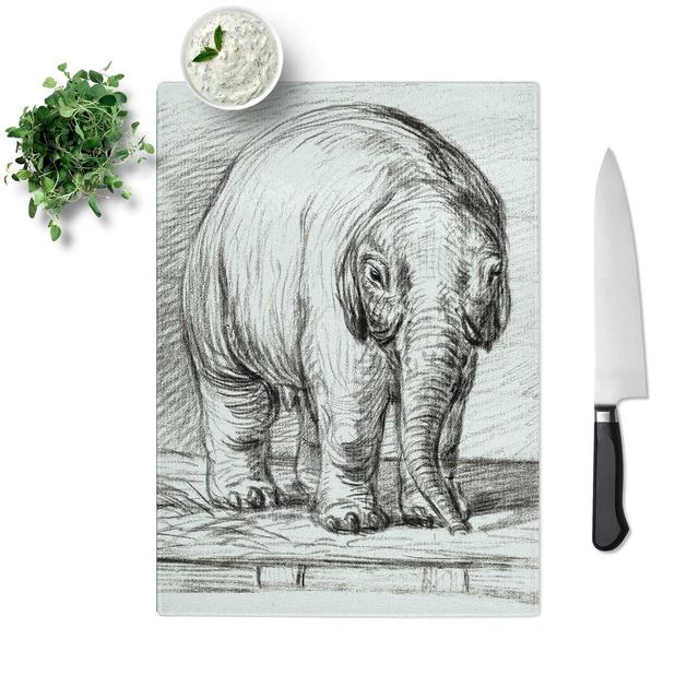 Tempered Glass Baby Elephant Chopping Board East Urban Home Size: 28.5 cm W x 39 cm L on Productcaster.