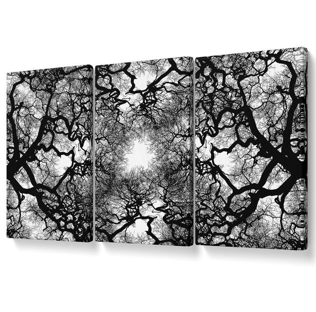 The Suns Shelter - 3 Piece Wrapped Canvas Graphic Art Ebern Designs Size: 142.2cm H x 304.8cm W x 10cm D on Productcaster.