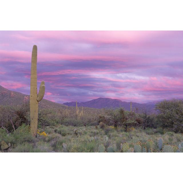 Pink sky at sabino canyon House of Hampton Size: 20cm H x 30cm W on Productcaster.