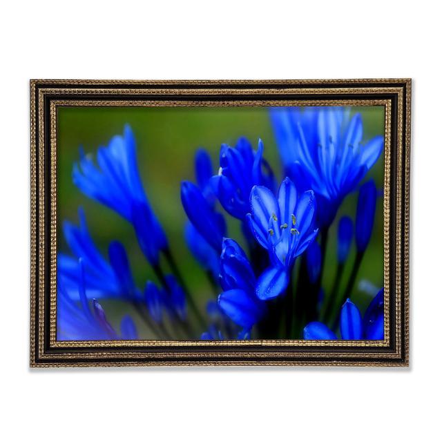 Blue Soft Look - Single Picture Frame Art Prints Ebern Designs Size: 59.7cm H x 84.1cm W x 3cm D on Productcaster.