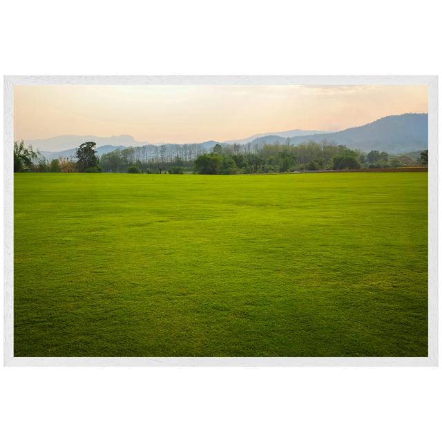 Bridgeville Background Image Of Lush Grass Field - Single Picture Frame Print Latitude Run Size: 31cm H x 41cm W x 4cm D, Frame Option: White Framed on Productcaster.