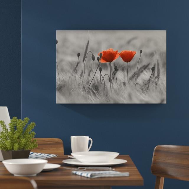 Leinwandbild Poppies in Field East Urban Home Größe: 60 cm H x 80 cm B on Productcaster.