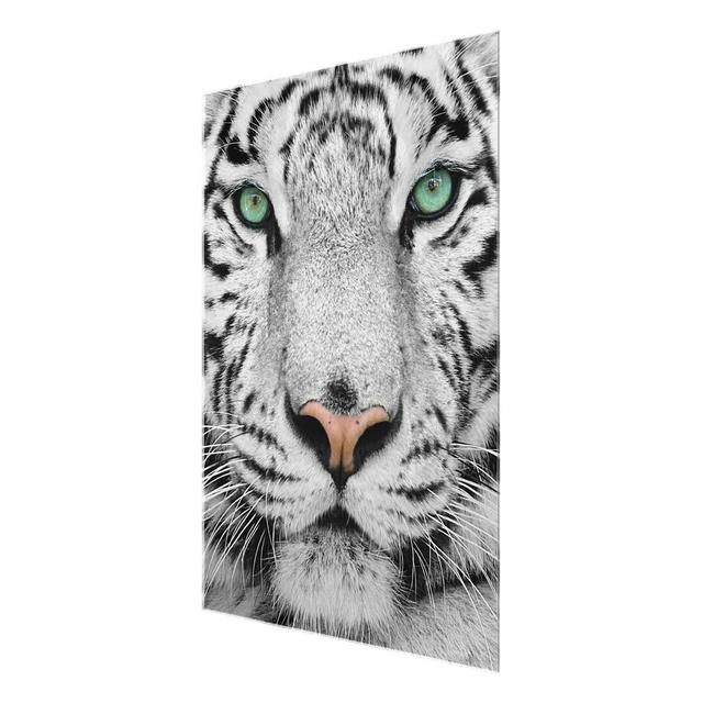 White Tiger - Photograph Print on Glass East Urban Home Size: 100 cm H x 75 cm W x 0.4 cm D on Productcaster.