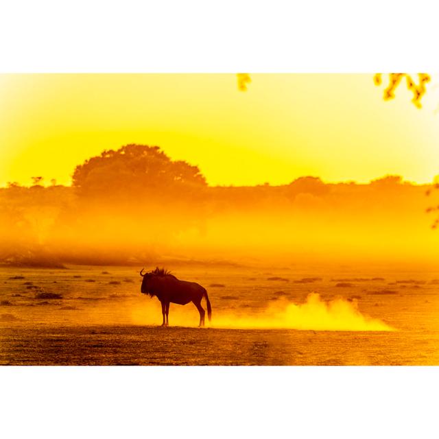 Wildebeest Standing In Dusty Kalahari Dawn by Sproetniek - No Frame Art Prints on Canvas Natur Pur Size: 20cm H x 30cm W on Productcaster.