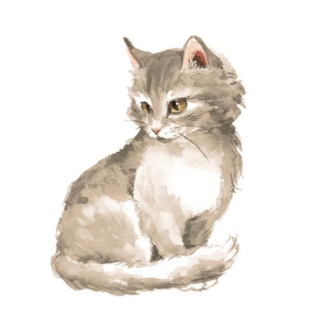 Fluffy Kitten by Ogri - Wrapped Canvas Painting Rosalind Wheeler Size: 51cm H x 51cm W on Productcaster.