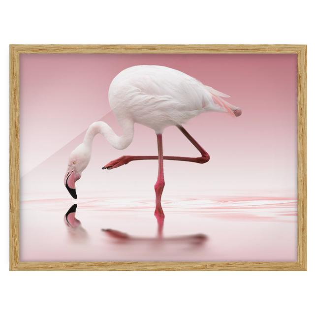 Flamingo Dance - Picture Frame Graphic Art 17 Stories Frame Option: Brown Framed on Productcaster.