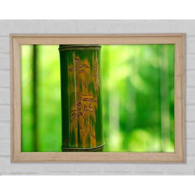 Engraved Bamboo - Single Picture Frame Art Prints Ebern Designs Size: 59.7cm H x 84.1cm W on Productcaster.