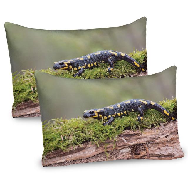 Animal on a Moss Branch Microfiber Sham (Set of 2) East Urban Home on Productcaster.