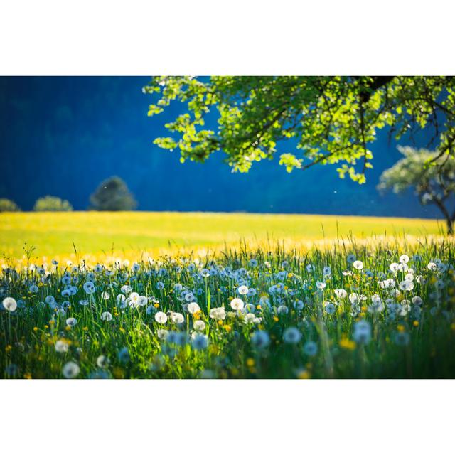 Alpen Landscape - No Frame Print on Canvas 17 Stories Size: 30cm H x 46cm W on Productcaster.