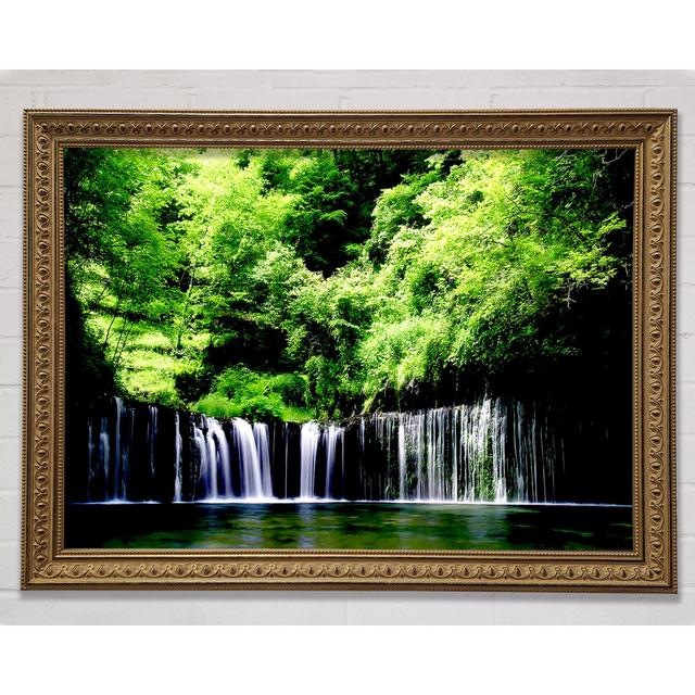 Rain Forest - Single Picture Frame Art Prints Union Rustic Size: 84.1cm H x 118.9cm W on Productcaster.