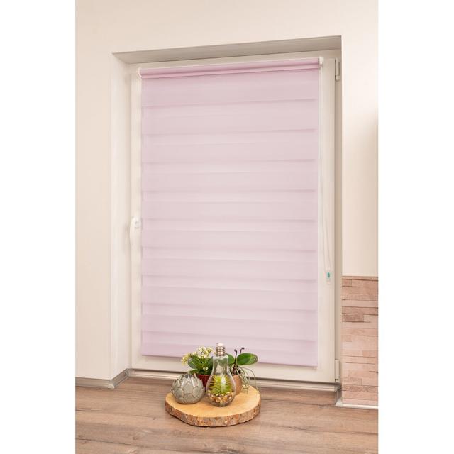 Double Roller Blind Symple Stuff Finish: Rose, Size: 150 cm L x 110 cm W on Productcaster.