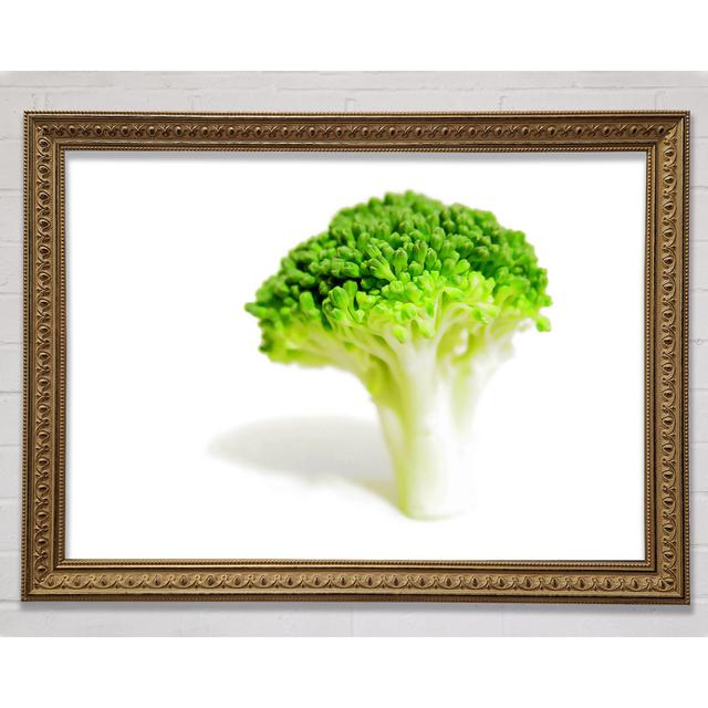 Brocolli Stem Framed Print Bright Star Size: 100cm H x 141.4cm W x 3cm D on Productcaster.