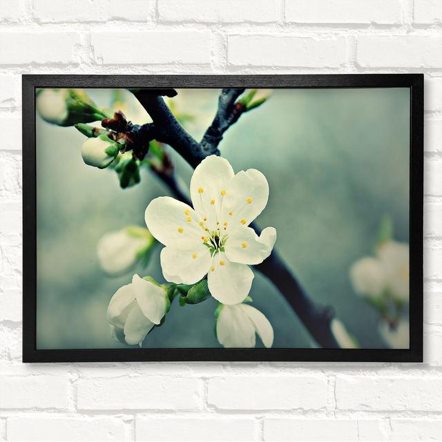 Gerahmtes Leinwandbild Beautiful Apple Blossom ModernMoments Größe: 59,7 cm H x 84,1 cm B on Productcaster.