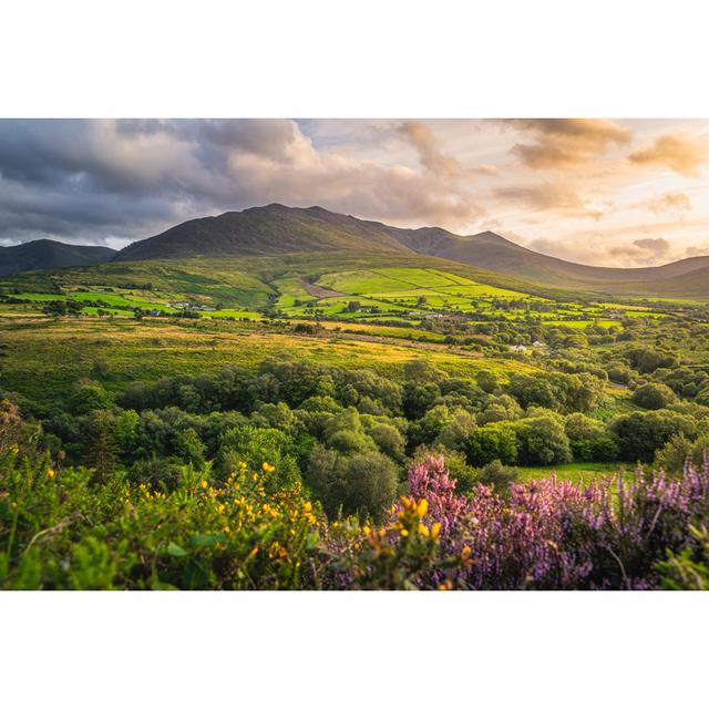 Carrauntoohil Mountain by Unknown - Wrapped Canvas Photograph Alpen Home Size: 81cm H x 122cm W on Productcaster.