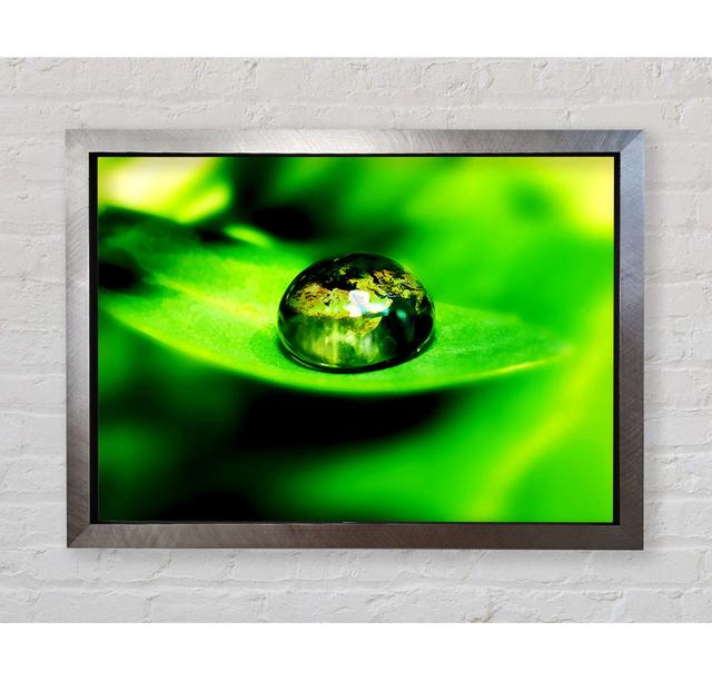 Green Leave Water Droplet - Single Picture Frame Print Brayden Studio Size: 59.1cm H x 84.1cm W x 3.4cm D, Format: Silver Framed Paper on Productcaster.