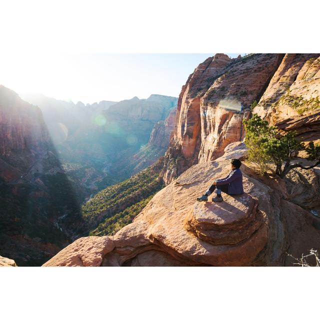 Zion National Park von Nycshooter - Druck ohne Rahmen auf Leinwand 17 Stories Größe: 60 cm H x 90 cm B on Productcaster.