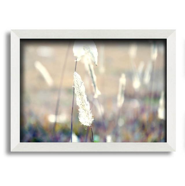 Grass Fluff Summer Framed Print Brayden Studio Size: 21cm H x 29.7cm W x 10cm D, Format: White Framed Paper on Productcaster.