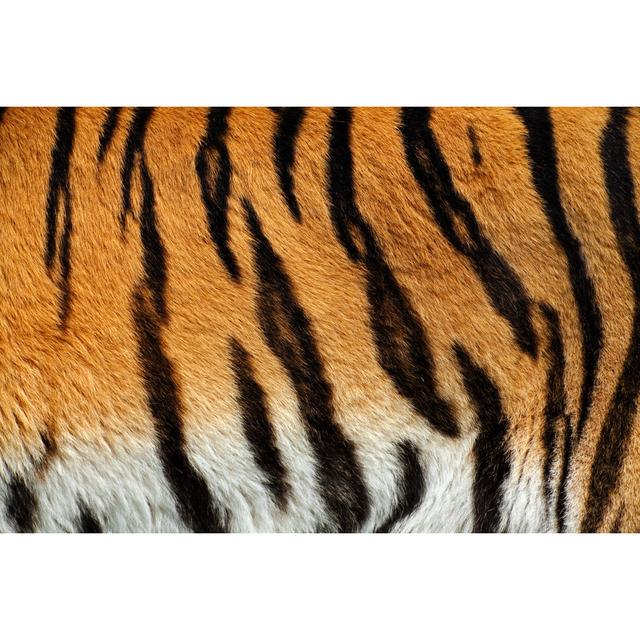 Tiger Skin by Andyworks - Wrapped Canvas Print 17 Stories Size: 81cm H x 122cm W x 3.8cm D on Productcaster.