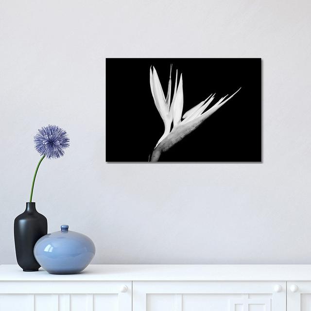 Still-Life Shot Of A Bird Of Paradise Flower - Wrapped Canvas Print Latitude Run Size: 30.48cm H x 45.72cm W x 1.91cm D on Productcaster.