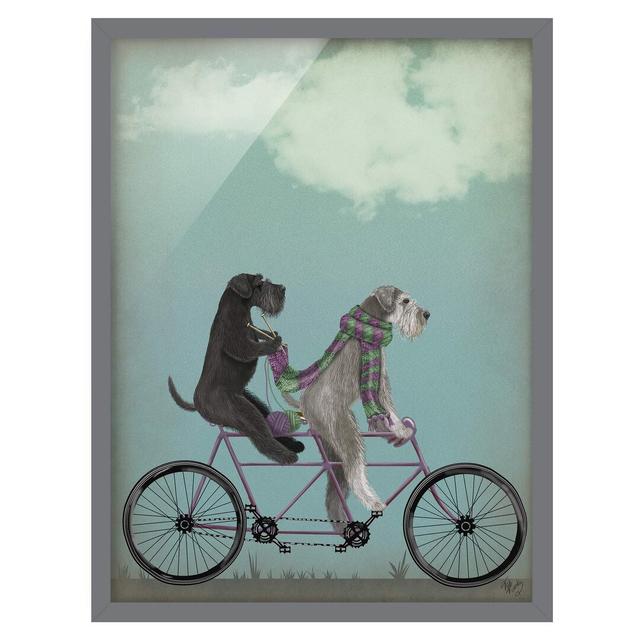 Picture With Frame - Bike Tour - Schnauzer Tandem - Portrait 4:3 Maturi Size: 40cm H x 30cm W x 2cm D, Frame Option: Grey on Productcaster.