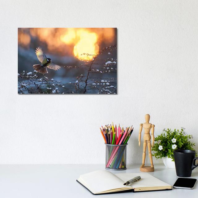 Landing At Sunset by Mateusz Piesiak - Wrapped Canvas Print 17 Stories Size: 20.32cm H x 30.48cm W x 1.905cm D on Productcaster.