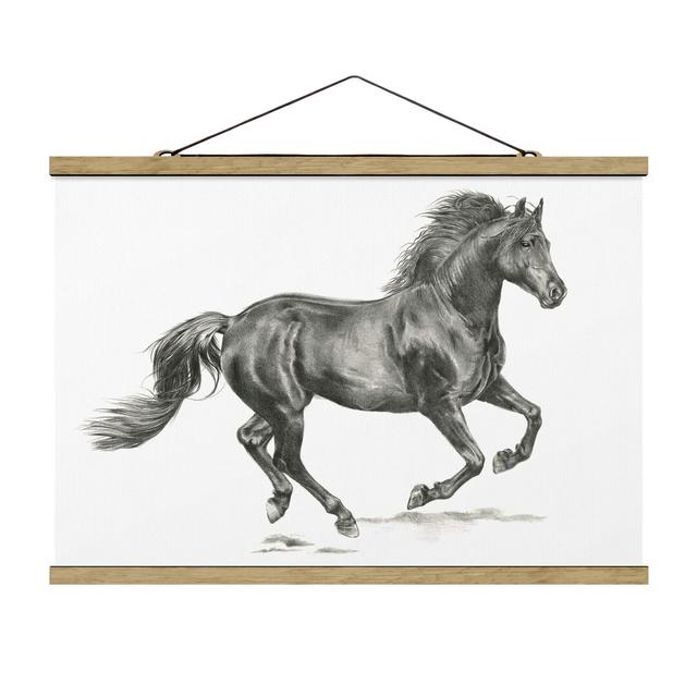 Wild Horse Study - Stallion - Graphic Art Print Gracie Oaks Size: 66.5cm H x 100cm W x 0.3cm D on Productcaster.