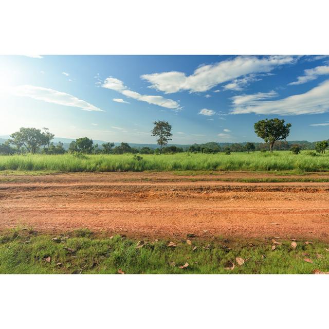 Dirt Roadside With Meadow by Yotrak - Wrapped Canvas Print Brambly Cottage Size: 51cm H x 76cm W on Productcaster.