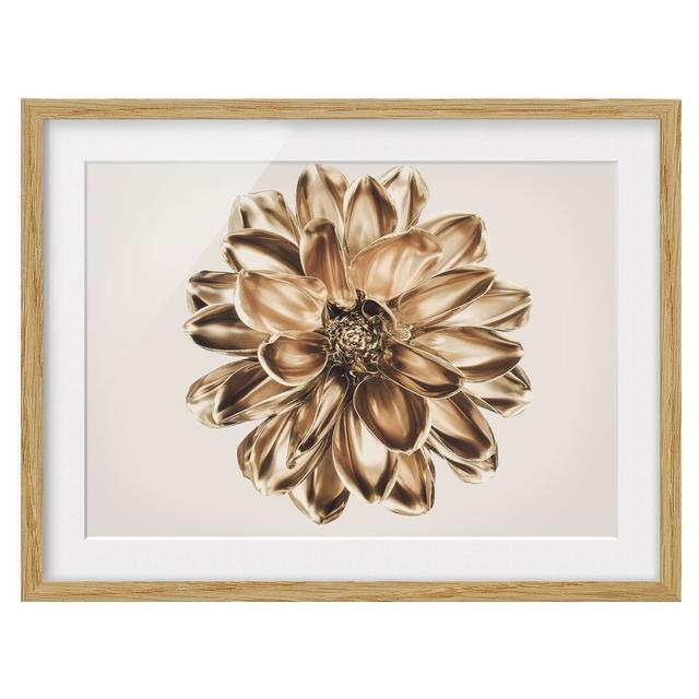 Dahlia Flower Gold Metallic - Picture Frame Graphic Art Ebern Designs Size: 70cm H x 100cm W x 2cm D, Frame Option: Brown Framed on Productcaster.