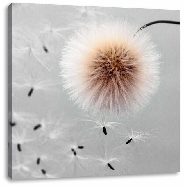 Leinwandbild Dandelion Heads in Motion East Urban Home Größe: 70 cm H x 70 cm B on Productcaster.