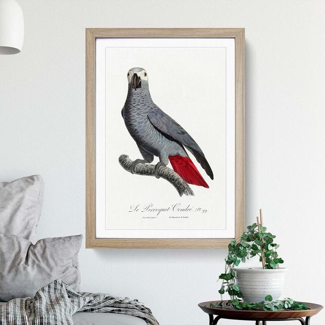 The Grey Parrot by F. Levaillant - Picture Frame Painting Print East Urban Home Frame Option: Oak Framed, Size: 36cm H x 27cm W x 2cm D on Productcaster.