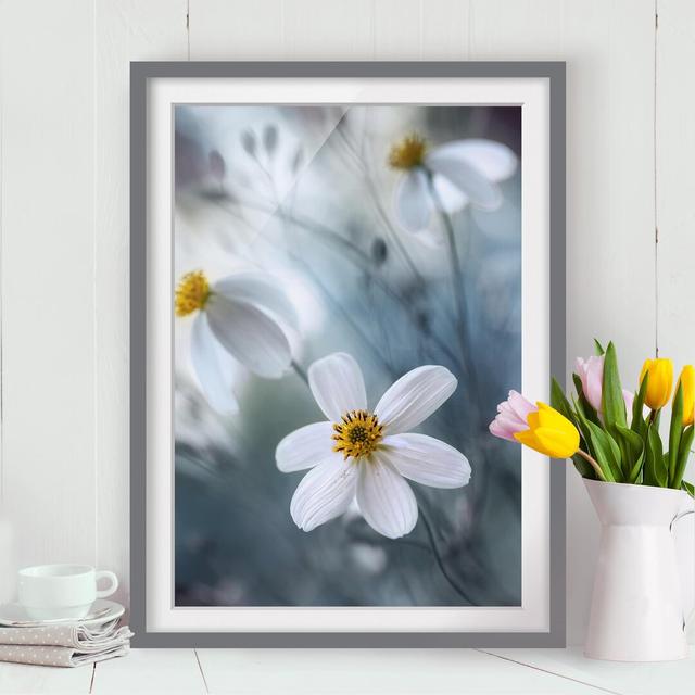 Pastel Flowers Framed Photograph East Urban Home Rahmenoptionen: Matt grey, Size: 55 cm H x 40 cm W on Productcaster.