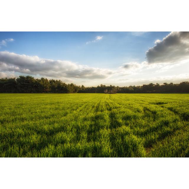 Field by Unknown - Wrapped Canvas Photograph 17 Stories Size: 20cm H x 30cm W on Productcaster.