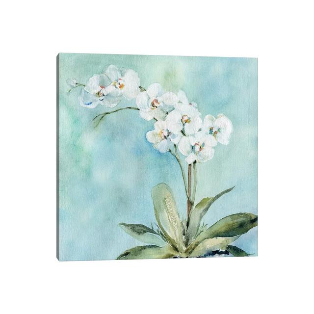 Sunlit Orchid by Carol Robinson - Wrapped Canvas Painting ClassicLiving Size: 30.48cm H x 30.48cm W x 1.91cm D on Productcaster.