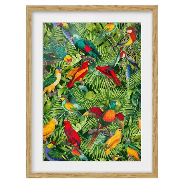 Colourful Collage - Parrots in the Jungle - Picture Frame Graphic Art Bay Isle Home Frame Option: Brown, Size: 100cm H x 70cm W x 2cm D on Productcaster.