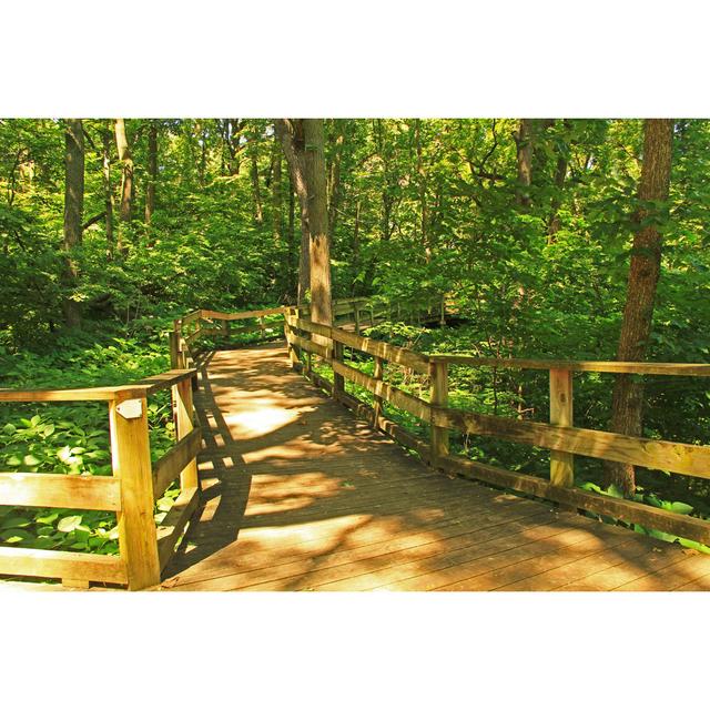 Fontenelle Forest Nature Center by Lindajohnsonbaugh - Wrapped Canvas Photograph Alpen Home Size: 30cm H x 46cm W on Productcaster.