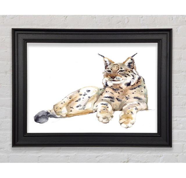 Lynx Laying Down - Single Picture Frame Art Prints Union Rustic Size: 21cm H x 42cm W x 8cm D on Productcaster.