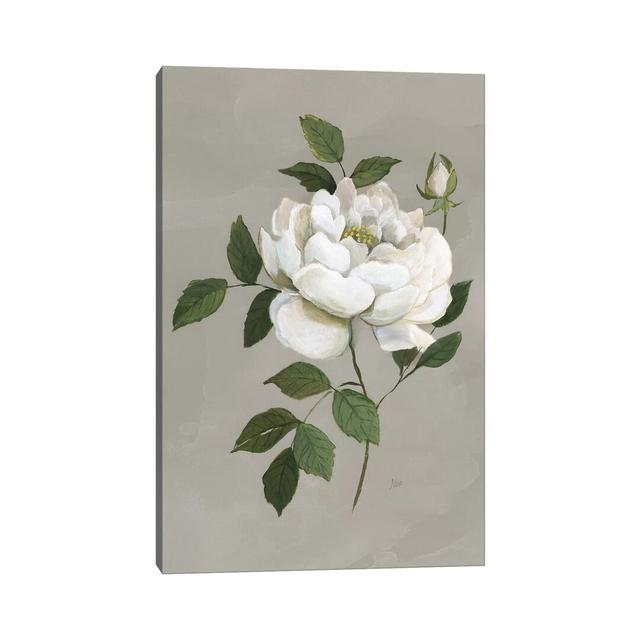 Botanical Rose by Nan - Print on Canvas August Grove Format: Wrapped Canvas, Size: 152.4cm H x 101.6cm W x 3.81cm D on Productcaster.